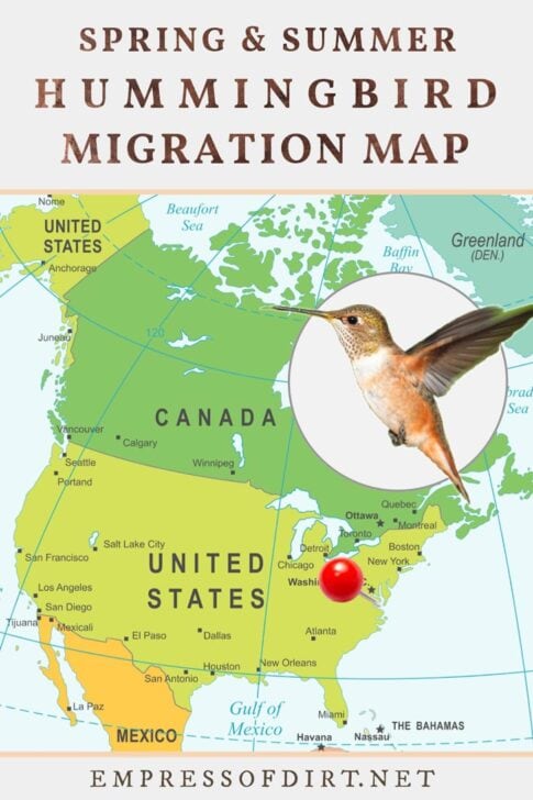 Hummingbird Navigation Mapping Vast Territories
